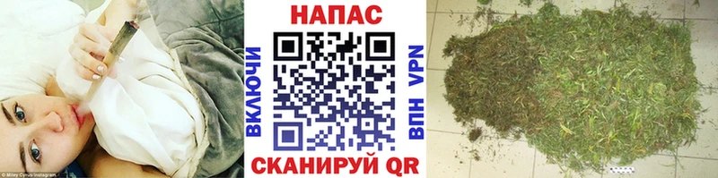Каннабис сатива  Усмань 
